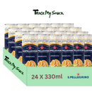 San Pellegrino Orange Flavour 24 Cans Pack | San Pellegrino 330ML Italian Taste